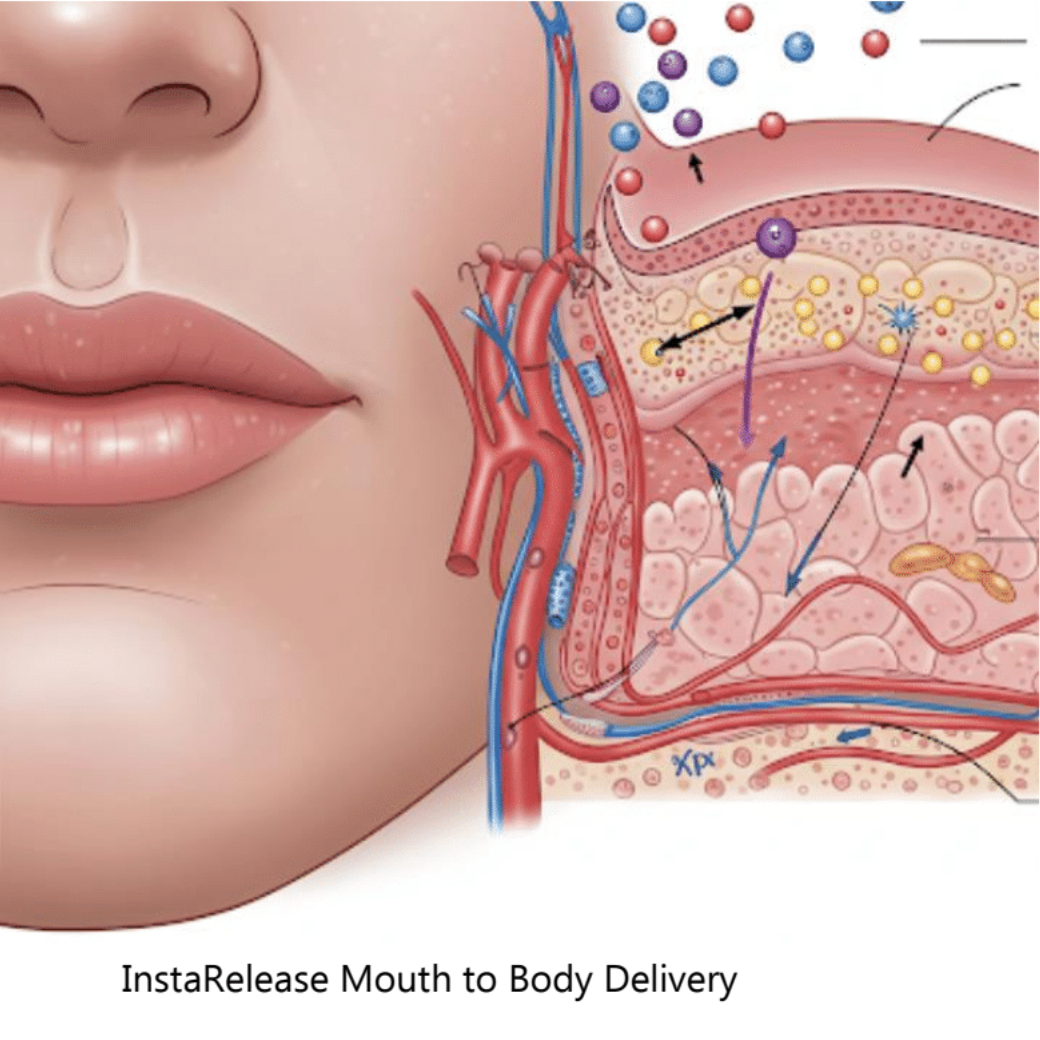 imgi_2_Screenshot-2025-04-22-at-2.43.32-PM (1)